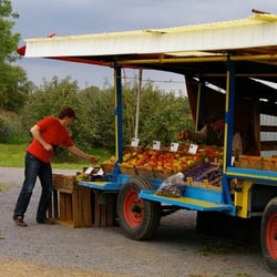 Altes Land - An vielen Ständen und Hofläden kann man sich hier mit frischem Obst und Gemüse eindecken.