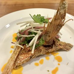 Zasu - Sumac Spiced Snapper Collar w/ Kohlrabi herb salad, mint, basil & pickled red onion
