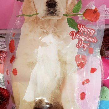 Dollar Tree - Chocolate - Discount Store Near Me - El Paso, Texas