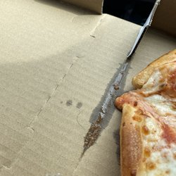 Studebaker's Pizza - HAIR NEXT TO THE PIZZA!!! FOUR OF OUR PIZZAS HAD HAIRS IN, UNDER, AND NEXT TO THE PIZZAS!!! SHUT THIS PLACE DOWN!!