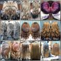 Photo of Hair by: Miggz