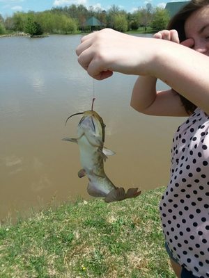 Northern Fauquier Community Park by null