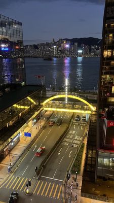 The Royal Garden by null