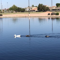 McQueen Park New