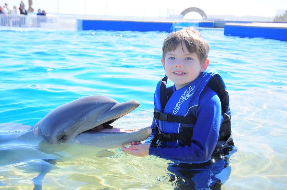 CINNAMON BEACH VACATION RENTAL BY OWNER 41 Photos 300 Cinnamon