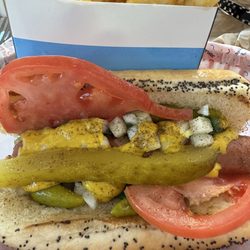 Joyland - Chicago dog