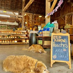 Quarry Hill Orchards