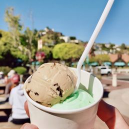 Cappuccino Chip, Mint Ice Cream Cappuccino Chip, Mint Ice Cream