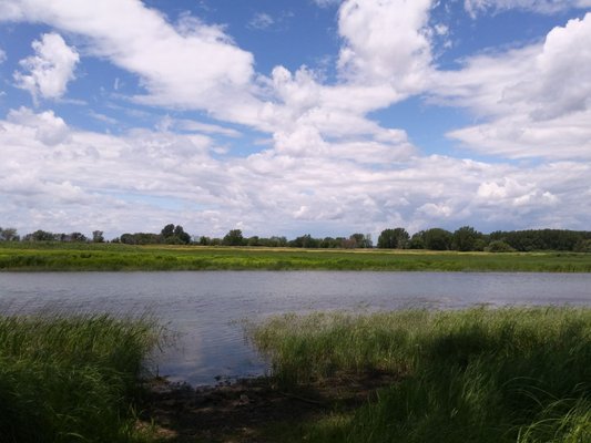 Boucherville Islands National Park by null
