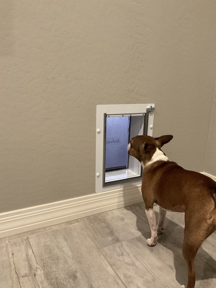 DOGGIE DOORS ON THE RUN Updated August 2024 72 Photos & 42 Reviews