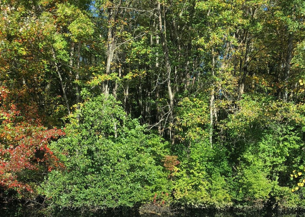 TOWN OF MONROE Updated September 2024 17 Lake St, Monroe, New York Phone Number Yelp