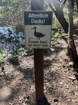 El Dorado Nature Center by null