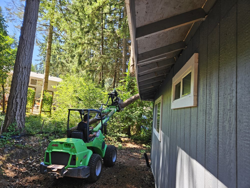 Family Tree Care - tree service in Tacoma, WA