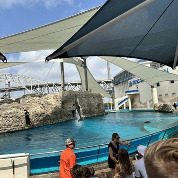 How pricing <a href=