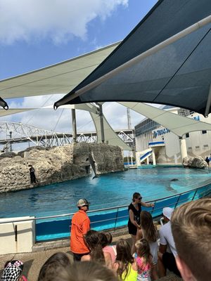 Texas State Aquarium by null