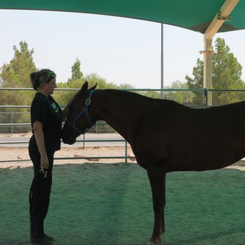Leadership Excursion - Leadership and Communication Breakthroughs Led with Horses - Business Consulting Near Me - Las Vegas, Nevada Leadership Excursion - Leadership and Communication Breakthroughs Led with Horses - Business Consulting Near Me - Las Vegas, Nevada