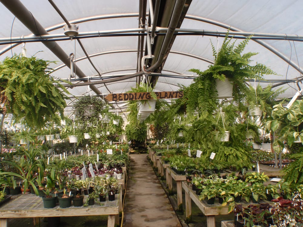 SPRING FARM GREENHOUSE 11 Photos 2190 Hickory Bottom Rd