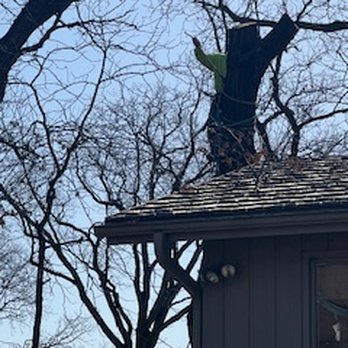 Dawsons Tree Service - Tree Services Near Me