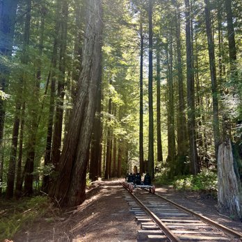 Skunk Train - Tours Near Me - Fort Bragg, California Skunk Train - Tours Near Me - Fort Bragg, California