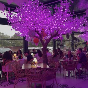 Suwanee Social - Bars Near Me - Suwanee, Georgia