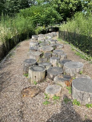 Welles (Gideon) Park by null