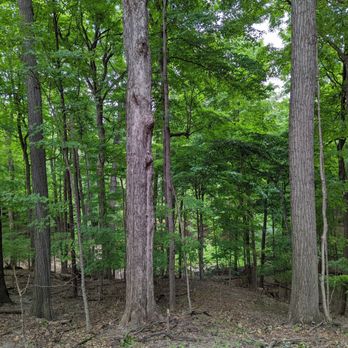 Heritage Park - Forrest - Parks Near Me - Farmington Hills, Michigan