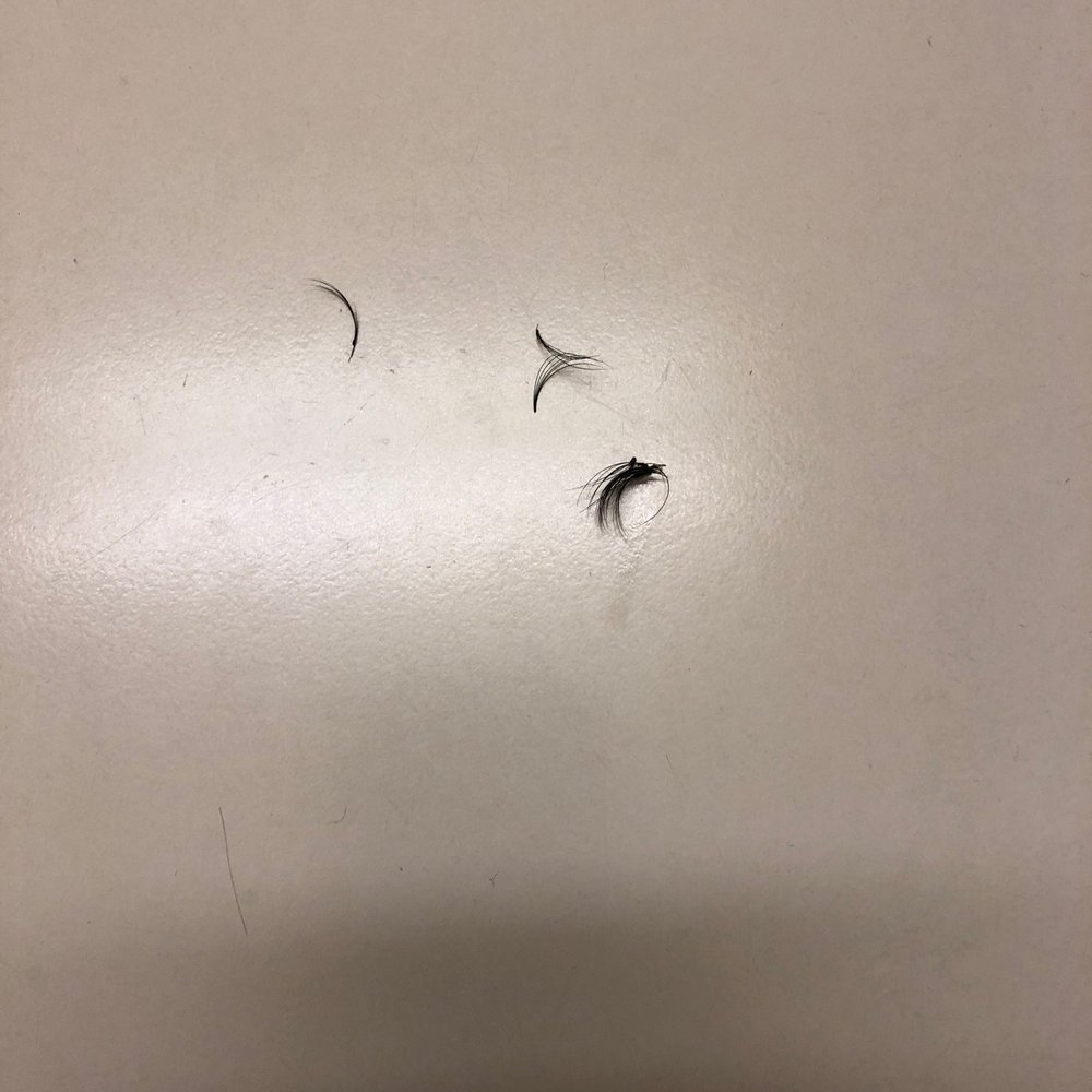 Amazing Lash Studio - Today is Monday and they keep falling !! No one has reached out to me!! - Eyelash Service Near Me - Oxnard, California Amazing Lash Studio - Today is Monday and they keep falling !! No one has reached out to me!! - Eyelash Service Near Me - Oxnard, California