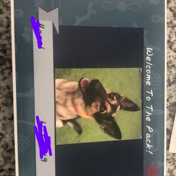 camp bow wow training prices