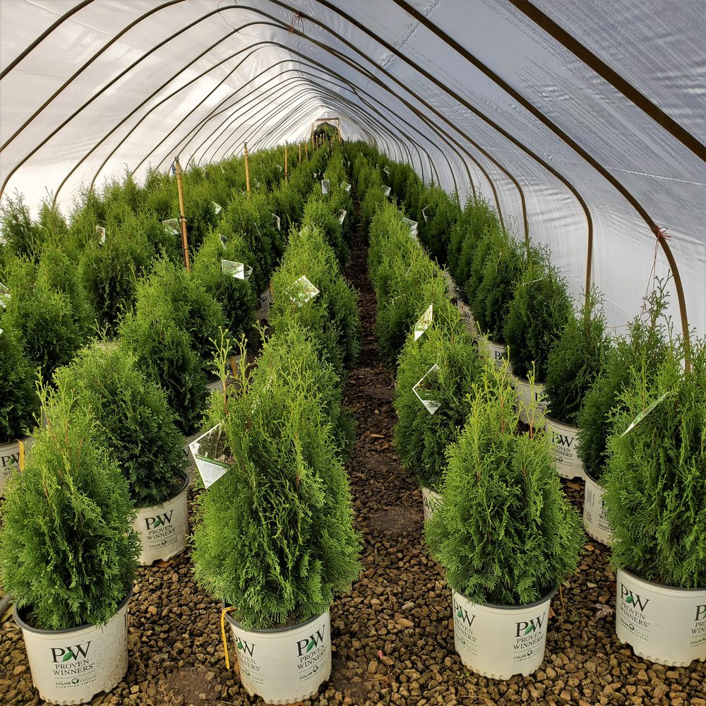 MEDFORD NURSERY Updated June 2024 80 Eayrestown Rd, Medford, New