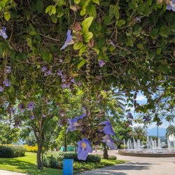 Jardines de México - Jardines de México