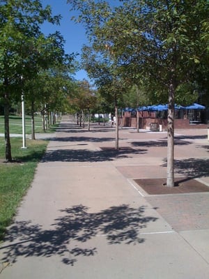 Metropolitan State University of Denver by null