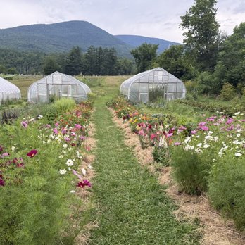 Restaurant at Hill Farm - Italian Near Me - Sunderland, Vermont Restaurant at Hill Farm - Italian Near Me - Sunderland, Vermont