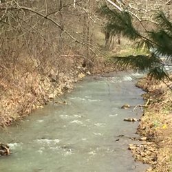 Burtner House Restoration - Nice stream flows through the property