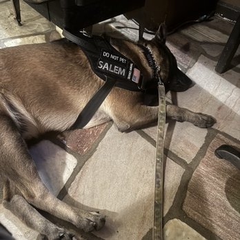 Blowing Rock Brewing - My exhausted service dog - Breweries Near Me - Blowing Rock, North Carolina