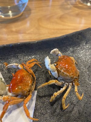 Kenbey Sushi by null