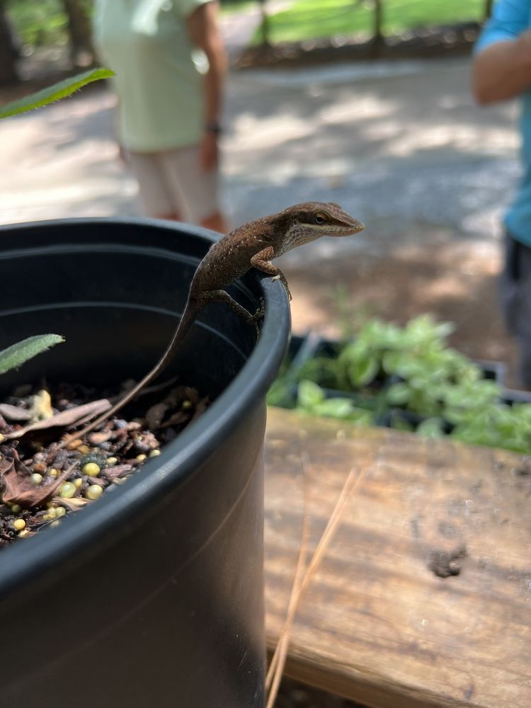 Eden Gardens State Park Image