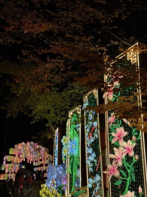 Franklin Park Zoo by null