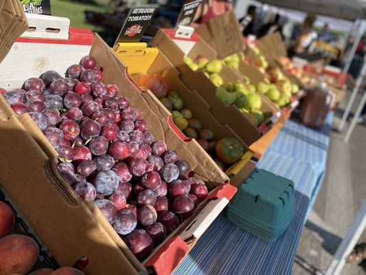 City Park Farmers Market by null