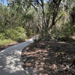 Delray Oaks Natural Area - Walking path