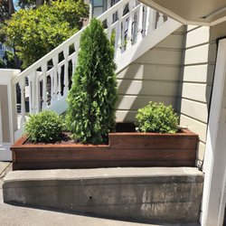 SF Gardening Services - After
