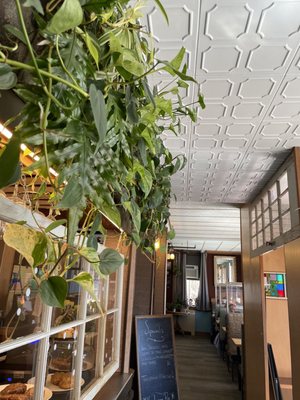 Artemisia Cafe by null
