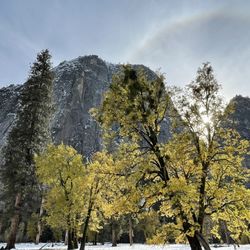 Bridalveil Falls - Halo gorgeous!