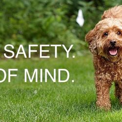 DogWatch of Delaware - Dogwatch of Delaware Hidden Fences