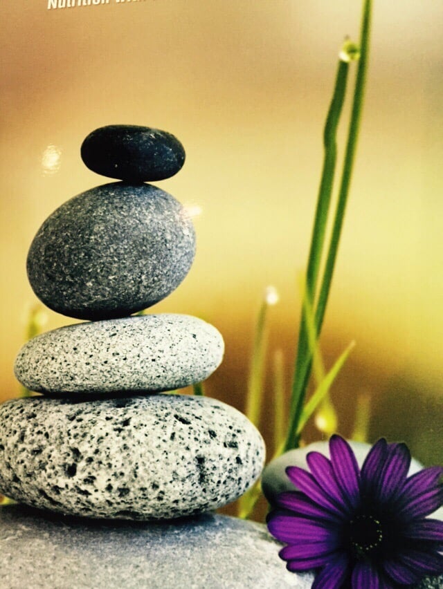 New Spirit Naturals Inc Logo