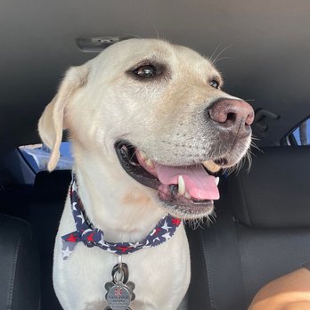 Fresh Pets And Grooming - Pet Stores Near Me - Lomita, California