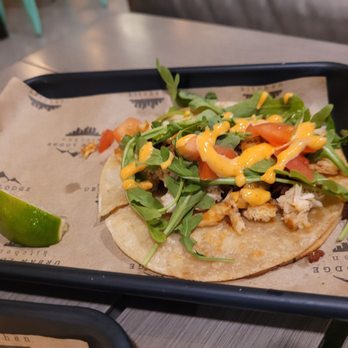 Urban Lodge Kitchen - Cilantro lime chicken taco - Comfort Food Near Me - Manchester, Connecticut Urban Lodge Kitchen - Cilantro lime chicken taco - Comfort Food Near Me - Manchester, Connecticut