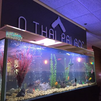 N Thai Palace - Pretty decor - Thai Near Me - Old Bridge, New Jersey N Thai Palace - Pretty decor - Thai Near Me - Old Bridge, New Jersey