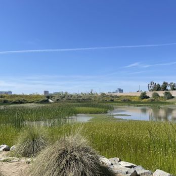 San Joaquin Marsh Wildlife Sanctuary - Parks Near Me - Irvine, California San Joaquin Marsh Wildlife Sanctuary - Parks Near Me - Irvine, California