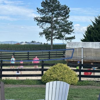Stable Craft Brewing - Volleyball - Farms Near Me - Waynesboro, Virginia