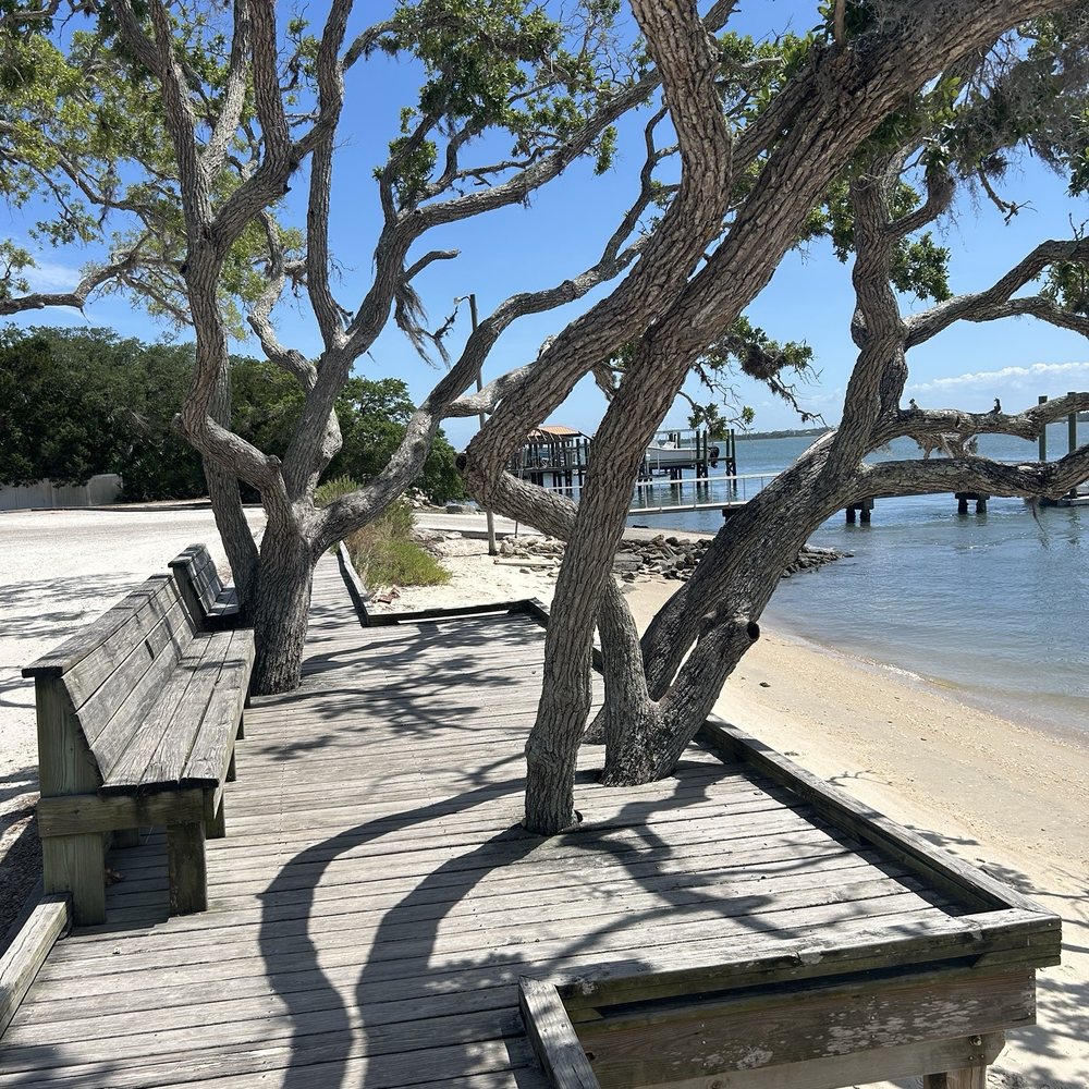 Aunt Kate's - Cool trees growing out of dock - American Near Me - Saint Augustine, Florida